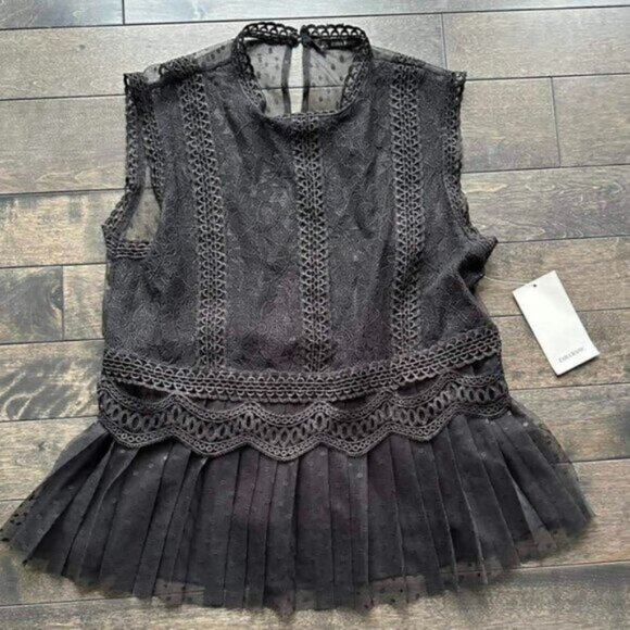 Zara Sheer Lace Top - new with tags - Picture 1 of 2